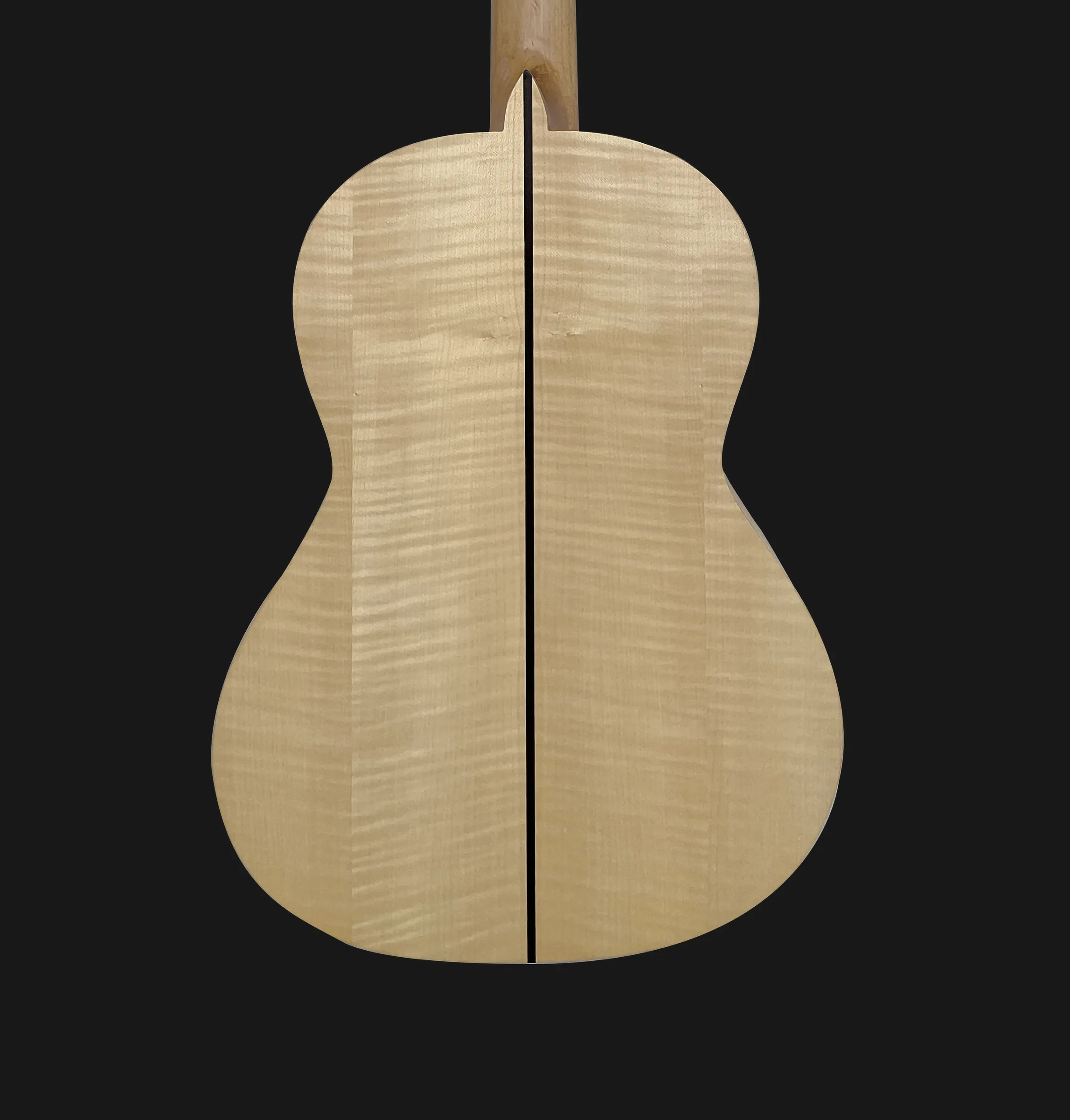 Guitar back