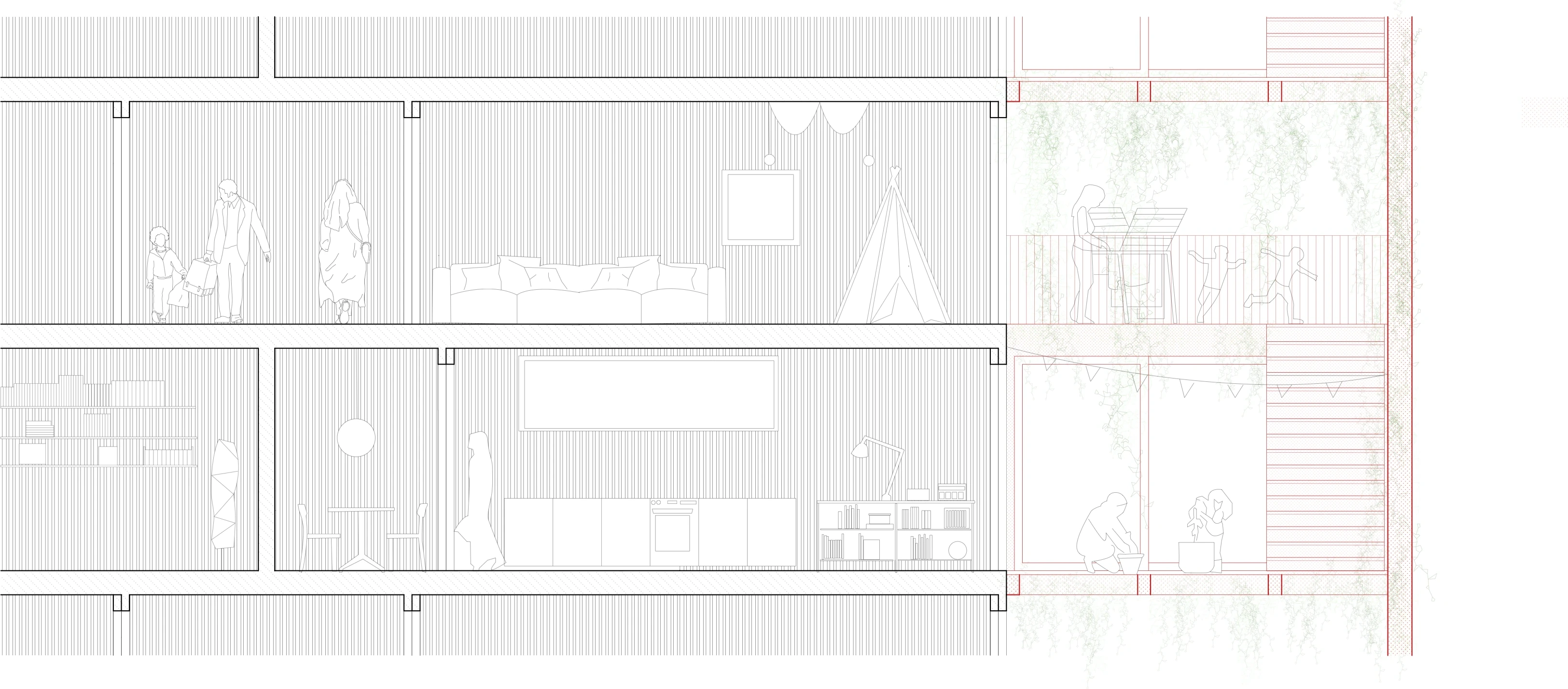 Section elevation